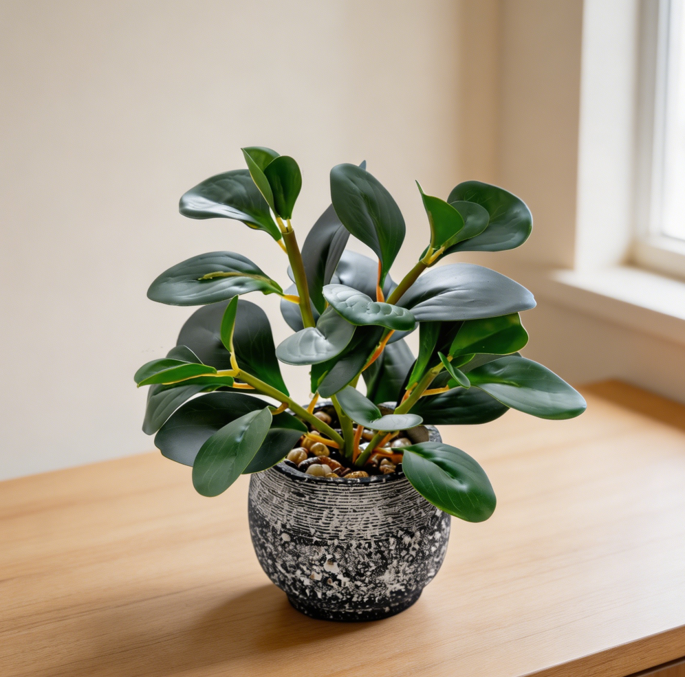 Small Ficus Faux Plant in Black Cement Planter - Image 2
