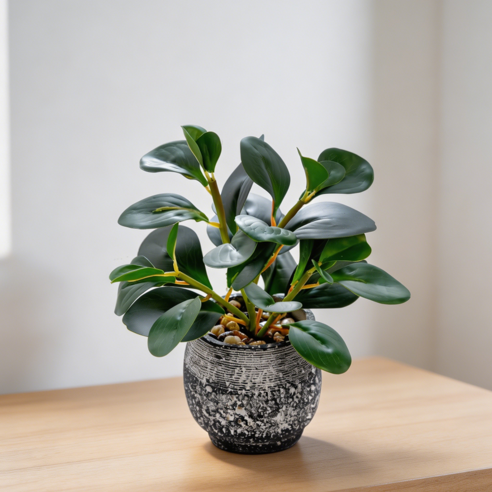 Small Ficus Faux Plant in Black Cement Planter