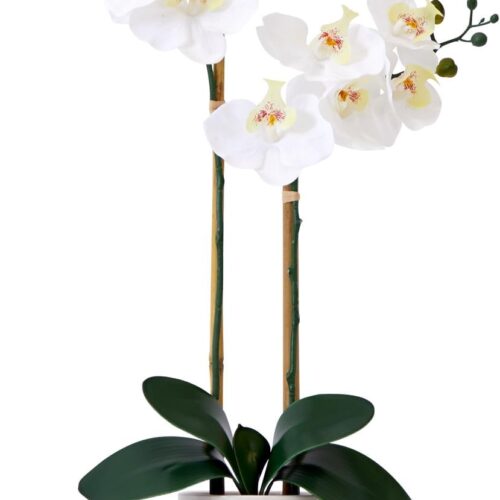 26″ Artificial Double Phalaenopsis Orchid with Vase