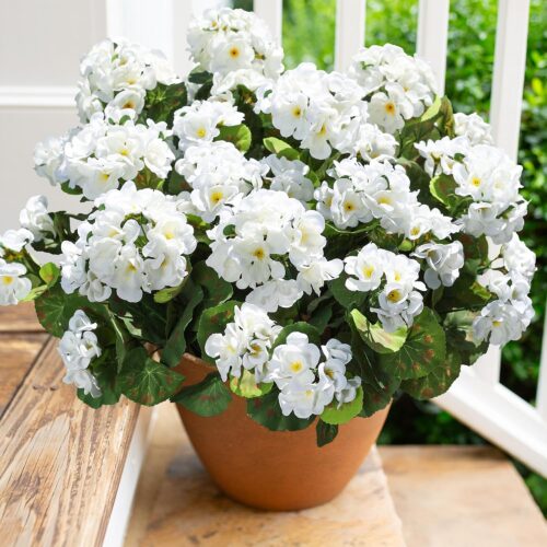 6 Bundles White UV Resistant Silk Geraniums